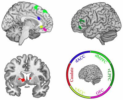 Improving Relationships by Elevating Positive Illusion and the Underlying Psychological and Neural Mechanisms